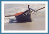 Boat on shore